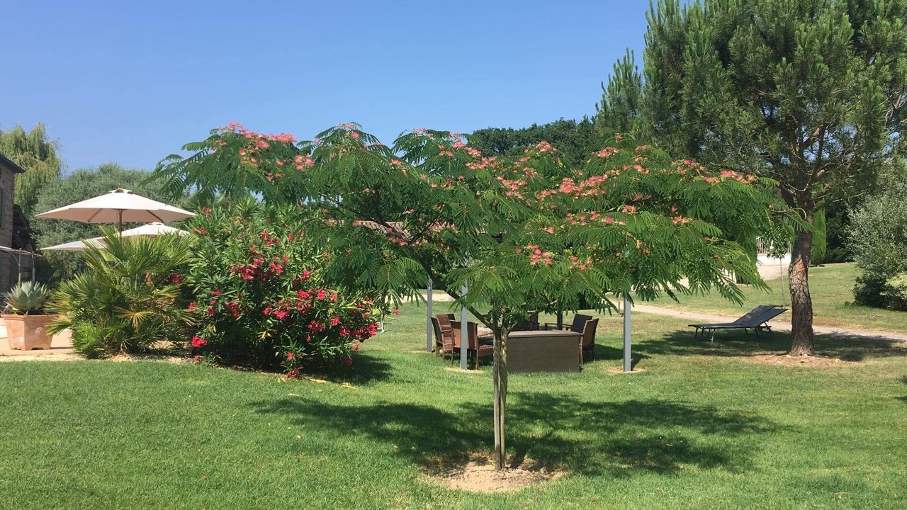 Photo of Outdoor in Parisot