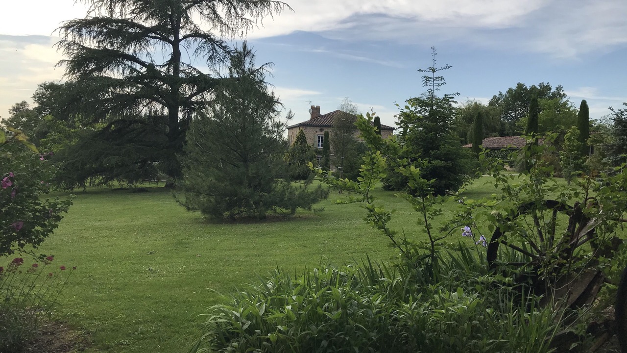 Photo of Outdoor in Parisot