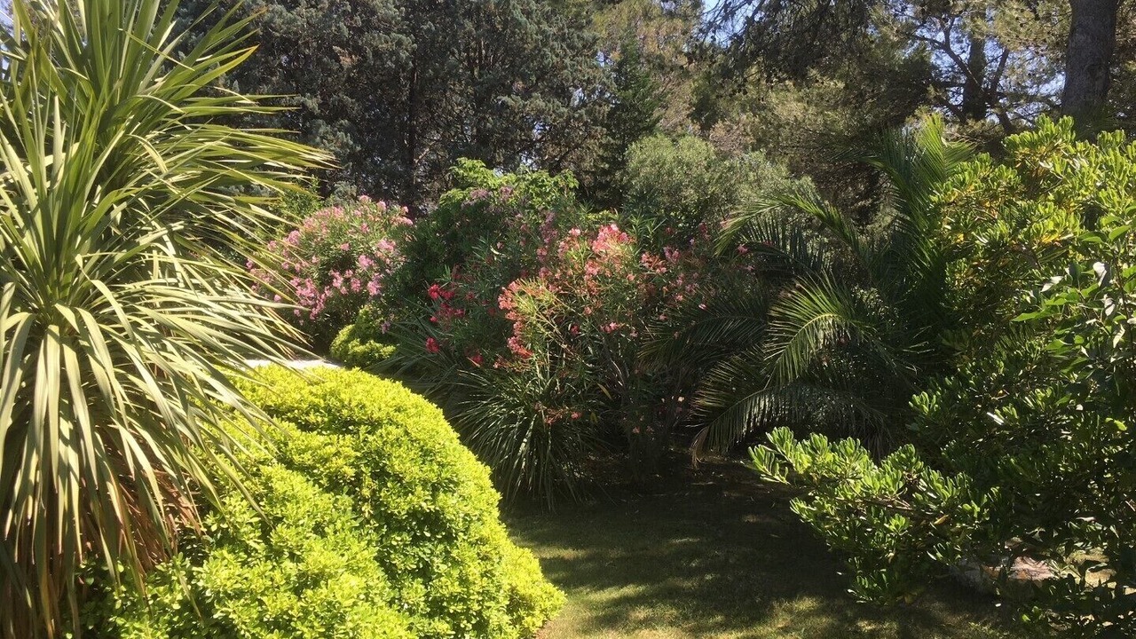 Photo of Outdoor in Beaucaire