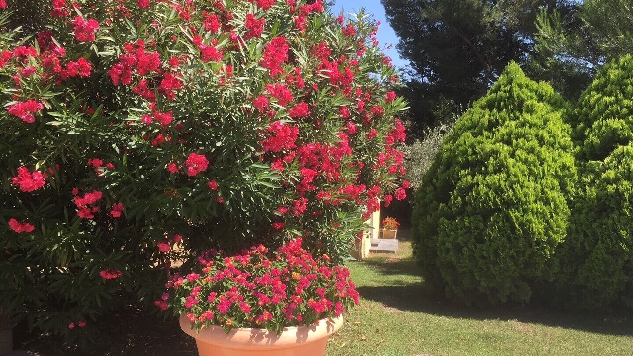 Photo of Outdoor in Beaucaire