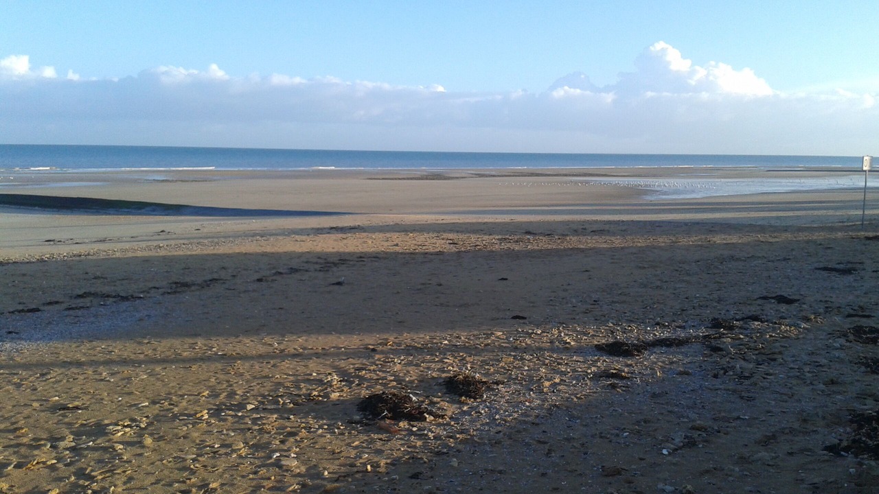 Photo of Others in Normandy Landing Beaches