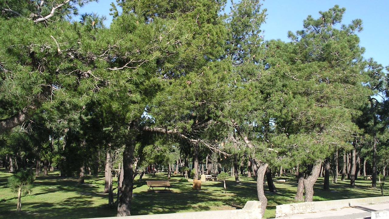 Photo of Outdoor in Argeles Plage