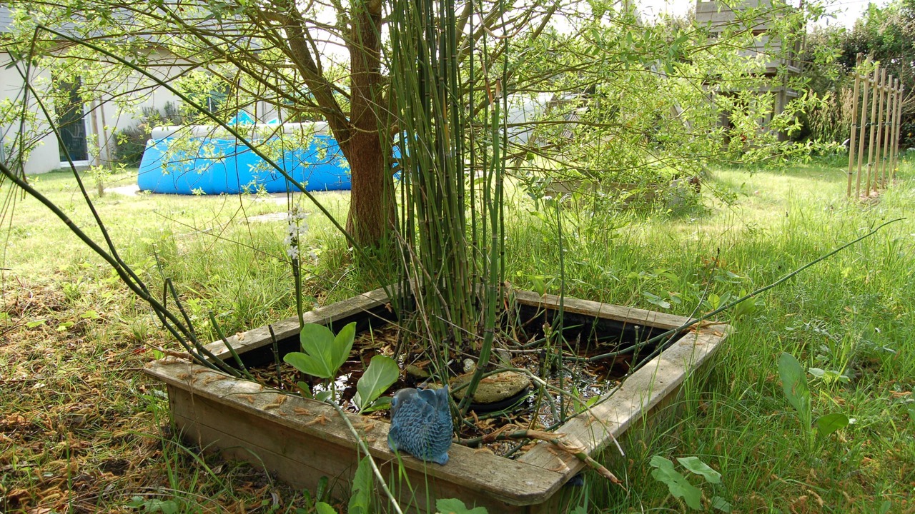 Photo of Outdoor in Saint-Avertin