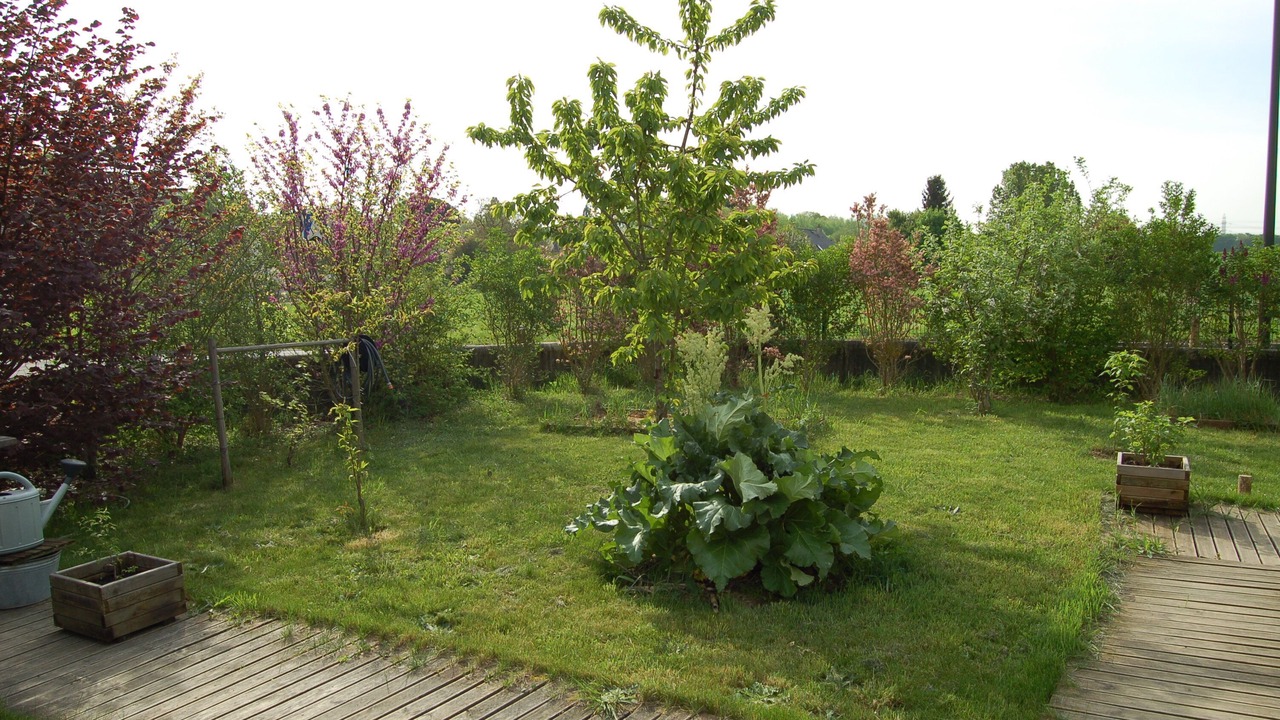 Photo of Outdoor in Saint-Avertin