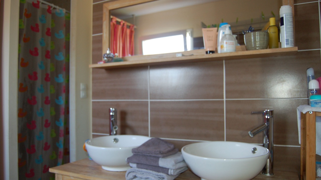Photo of Bathroom in Saint-Avertin