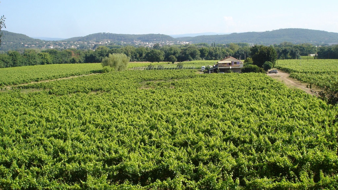 Photo of Outdoor in Les Arcs-sur-Argens