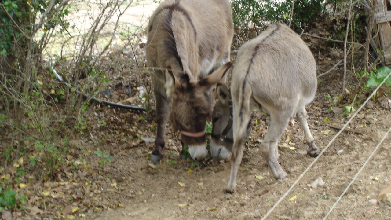 Photo of Outdoor in Les Arcs-sur-Argens