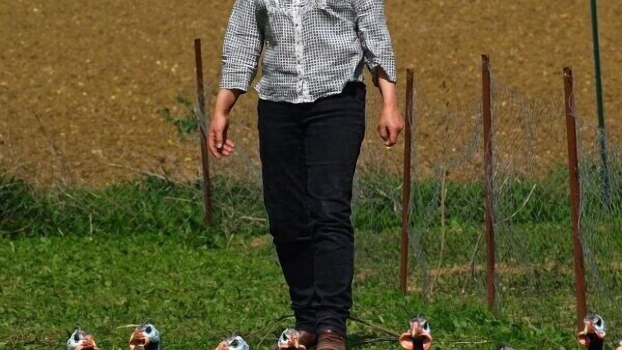 Photo of Others in Carlipa