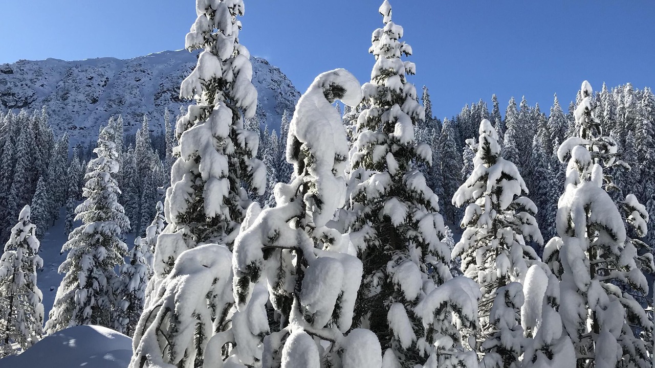 Photo of Outdoor in Arosa