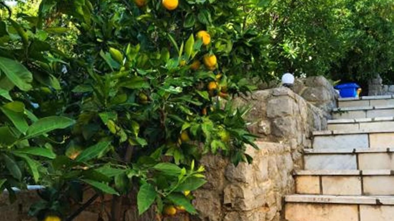 Photo of Outdoor in Kornic