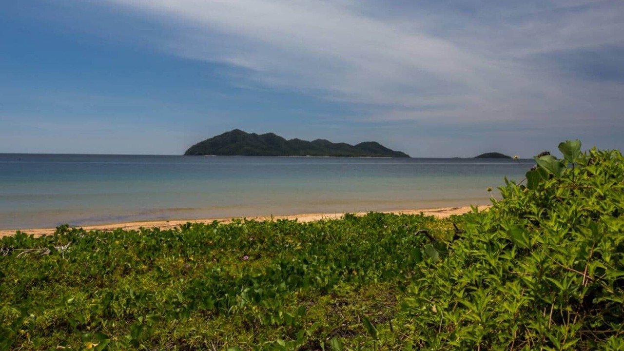 Photo of Others in Wongaling Beach