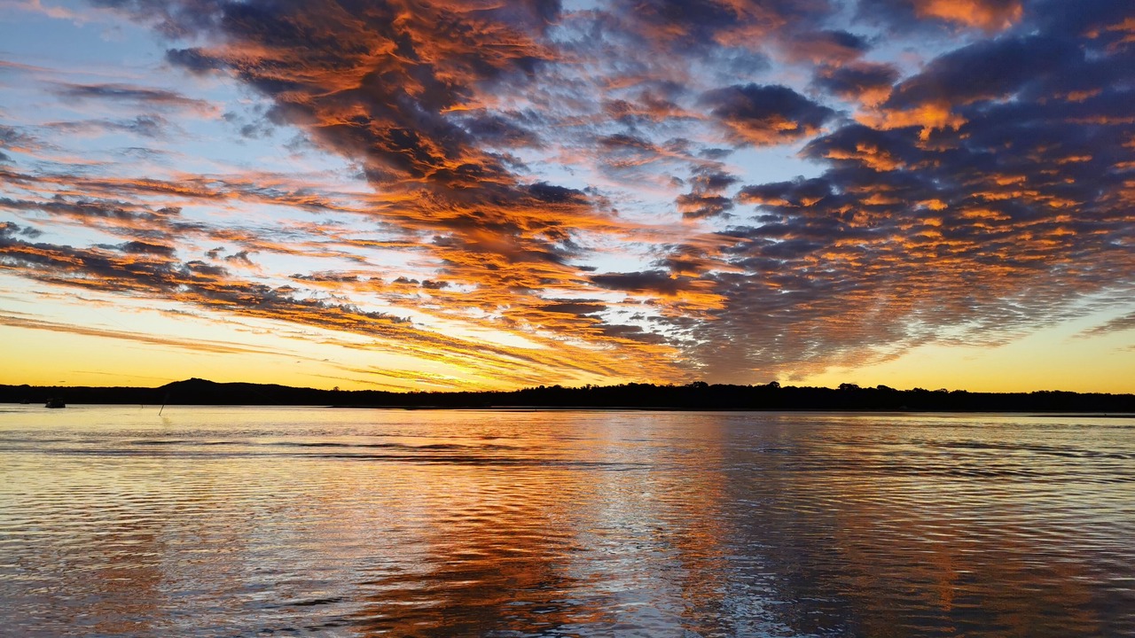 Photo of Others in Noosaville