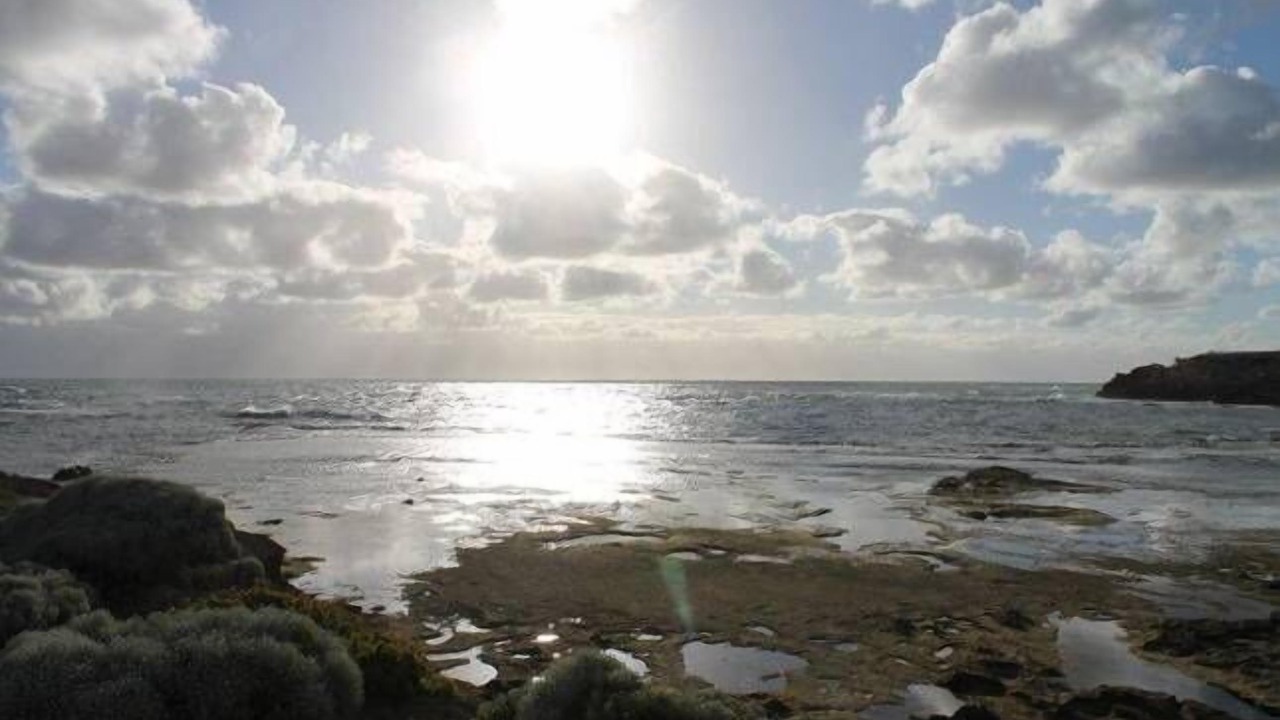 Photo of Others in Warrnambool