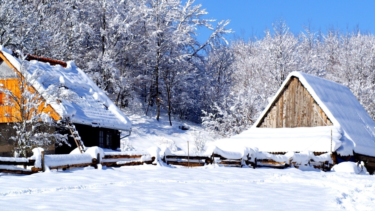 Photo of Outdoor in Velika Plana