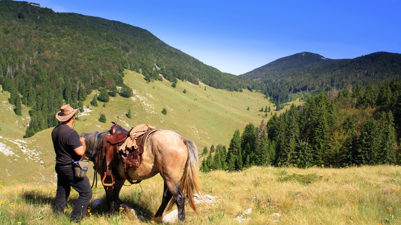 Photo of Others in Velika Plana