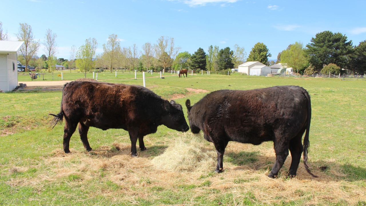 Photo of Others in Mansfield