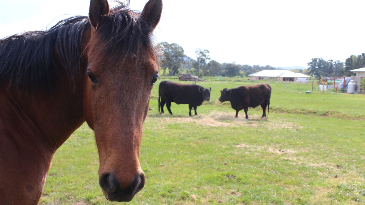 Photo of Others in Mansfield