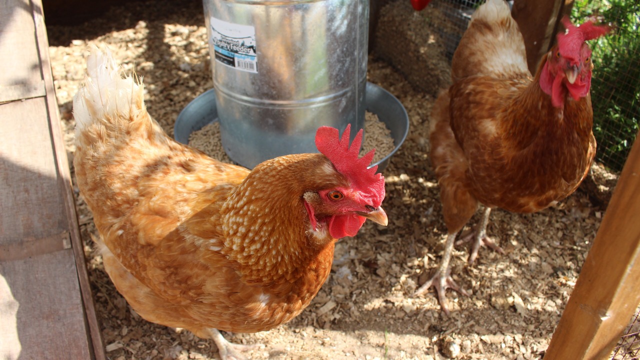 Photo of Others in Mansfield