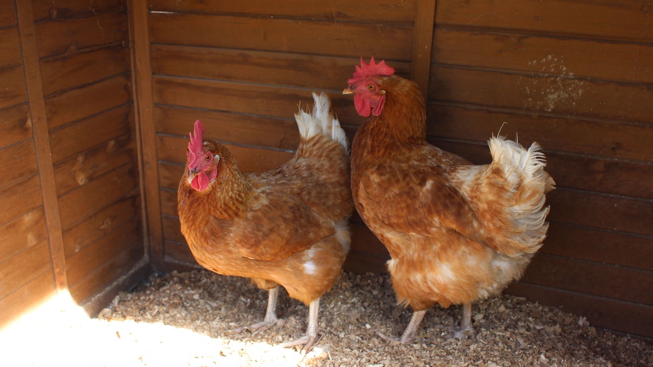 Photo of Others in Mansfield