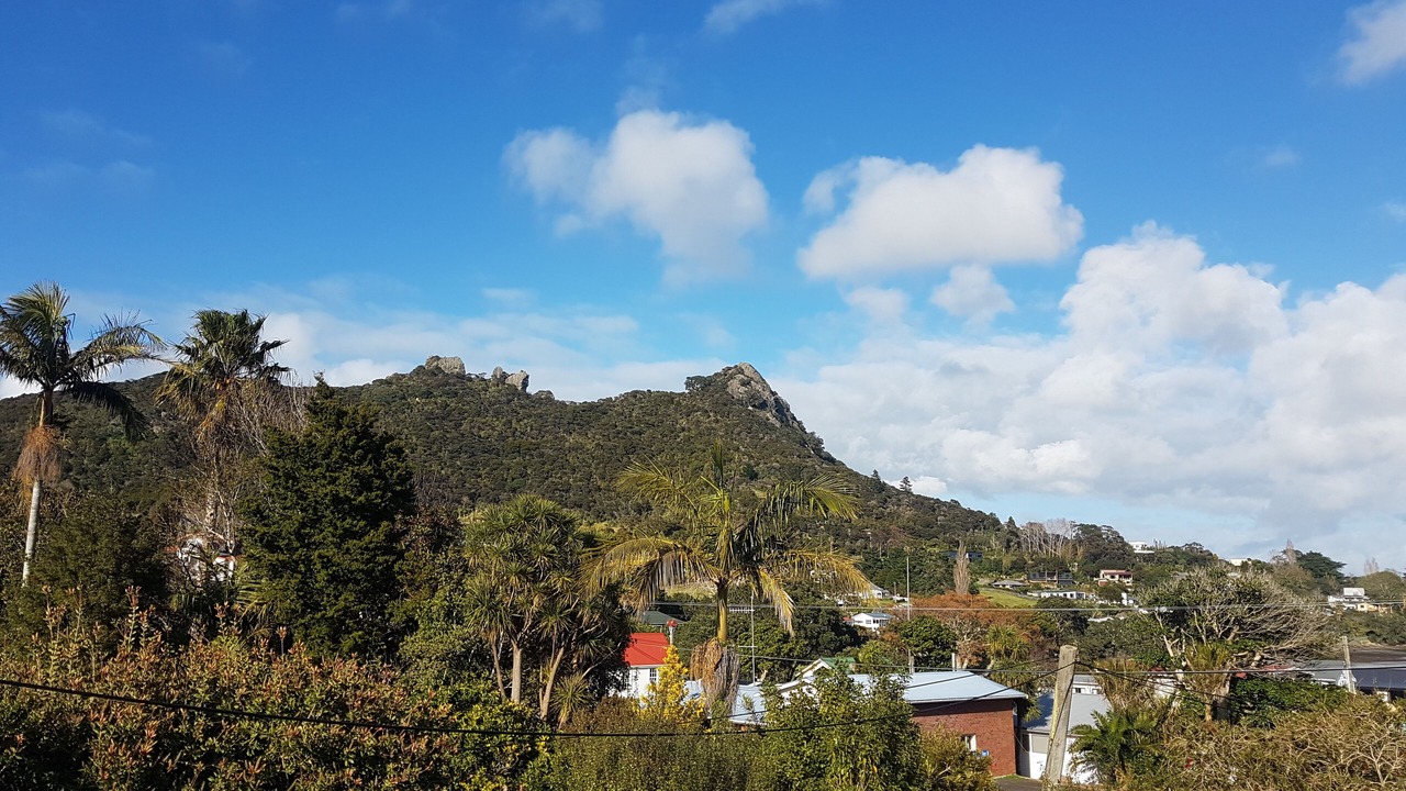 Photo of Outdoor in Whangarei Heads