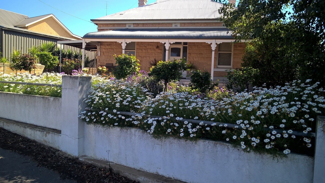 Photo of Outdoor in Waikerie
