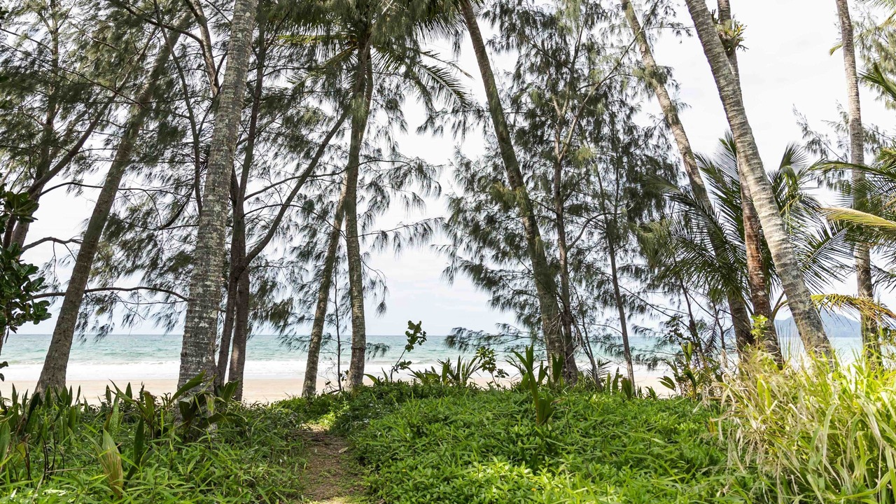 Photo of Others in Mission Beach