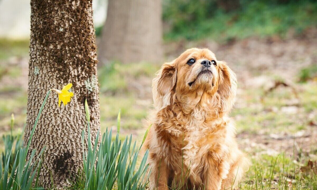 Photo of Outdoor in Wooragee
