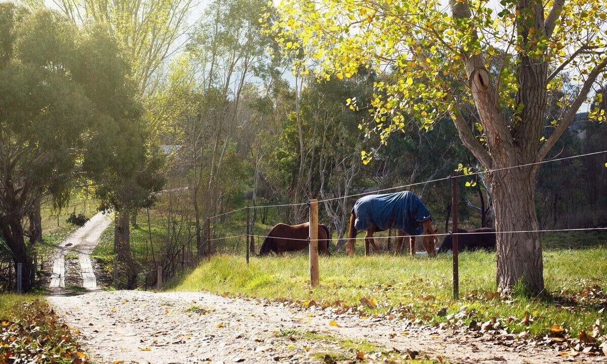 Photo of Outdoor in Wooragee