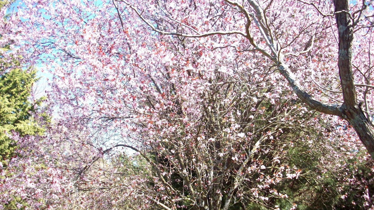 Photo of Outdoor in Wooragee