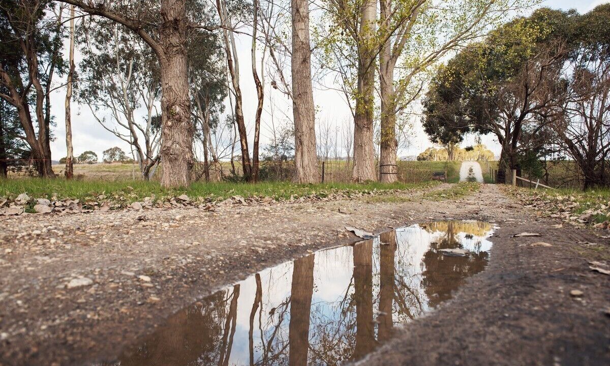 Photo of Outdoor in Wooragee