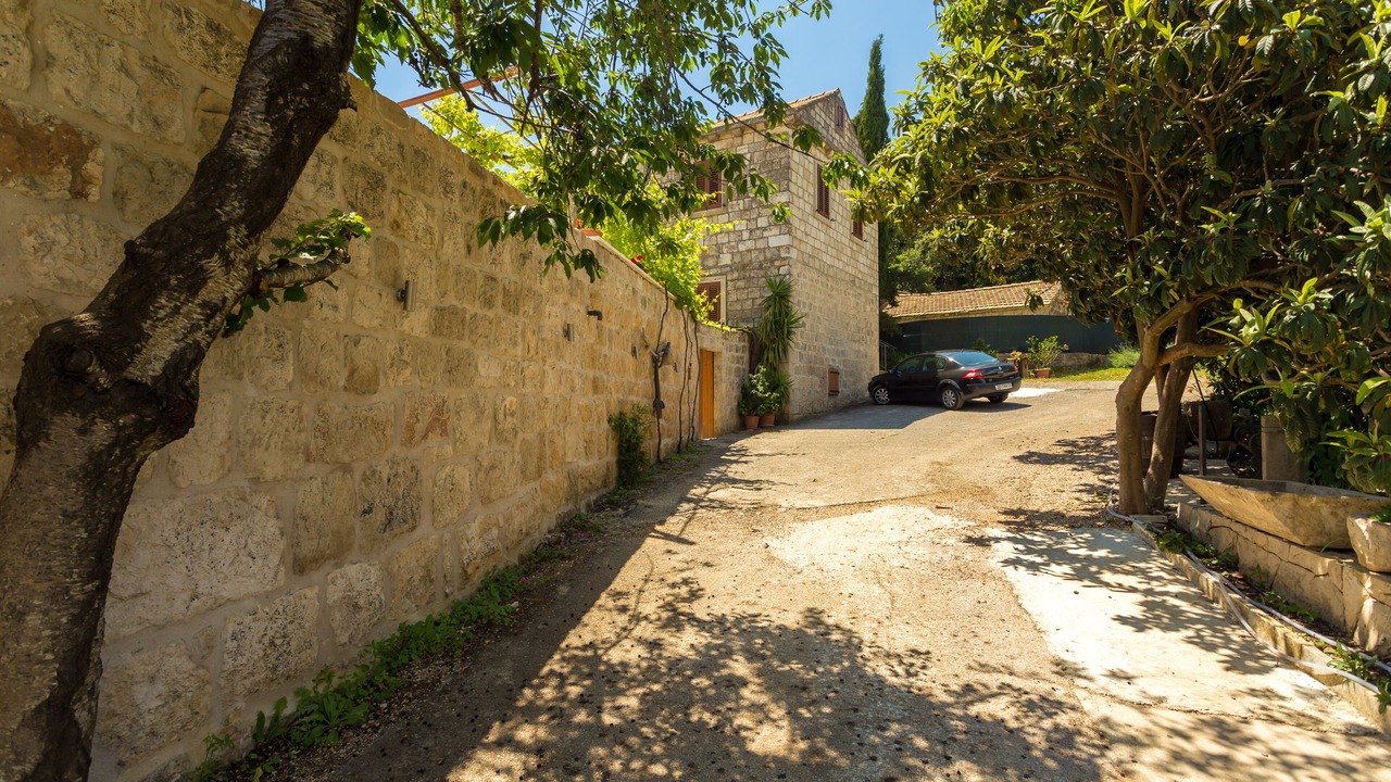 Photo of Outdoor in Popovici