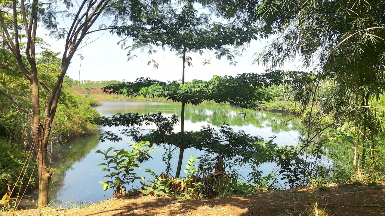 Photo of Outdoor in Bumi Serpong Damai