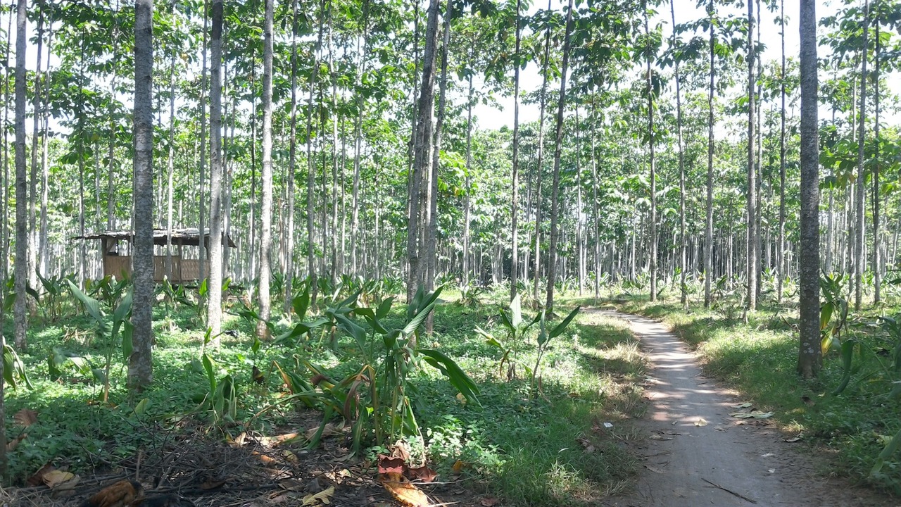 Photo of Outdoor in Bumi Serpong Damai