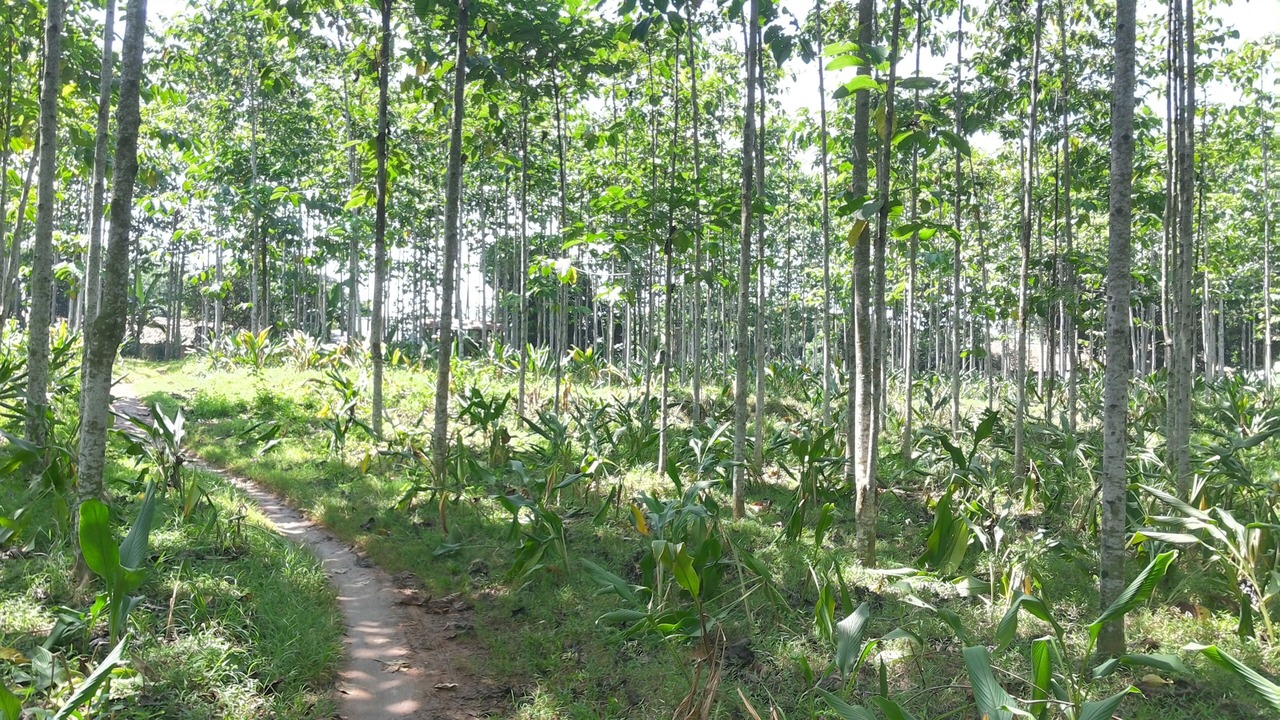 Photo of Outdoor in Bumi Serpong Damai