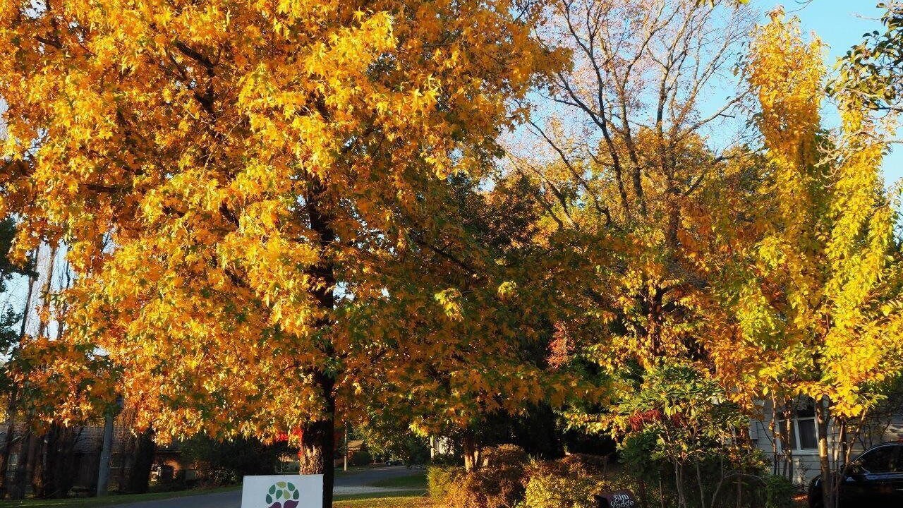 Photo of Others in Bright