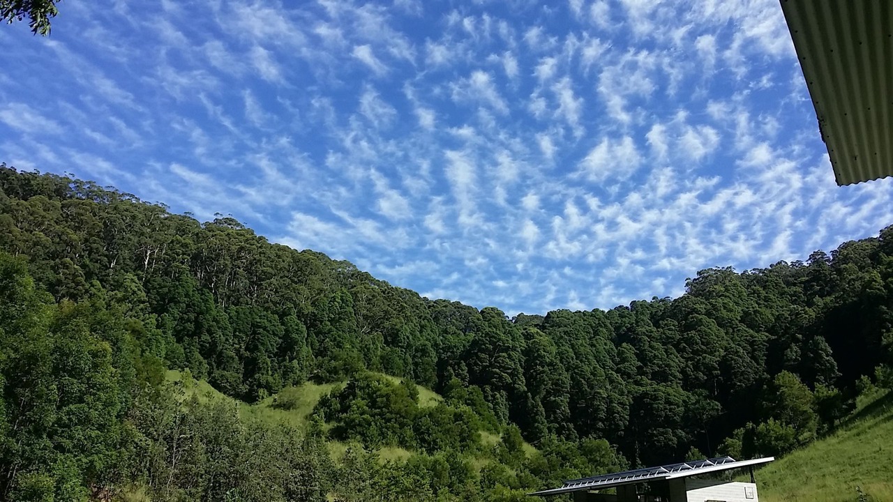 Photo of Others in Crabbes Creek