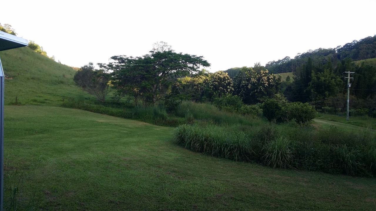 Photo of Outdoor in Crabbes Creek