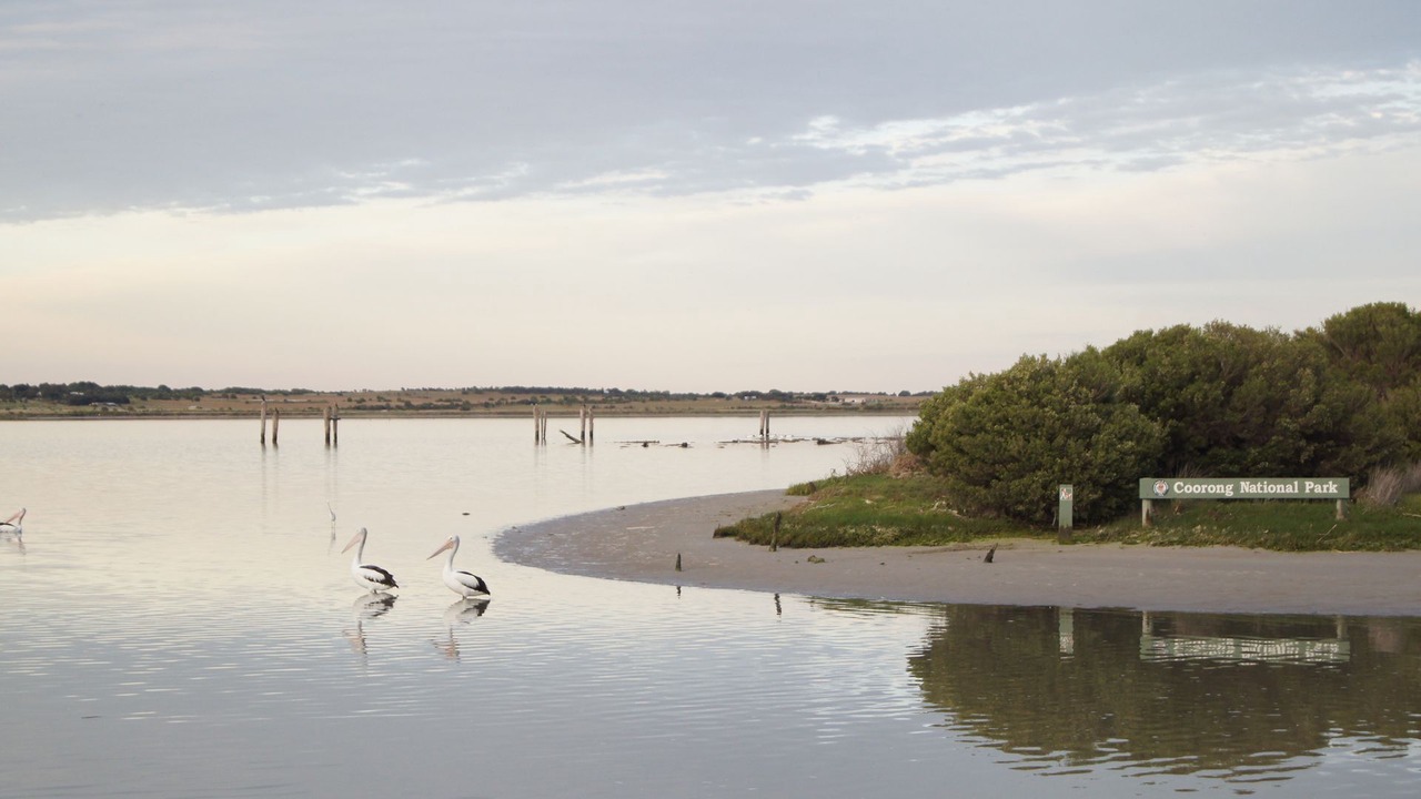 Photo of Others in Goolwa South