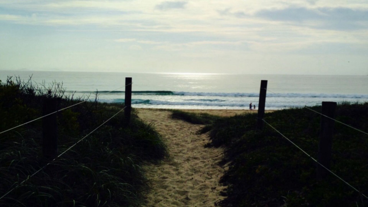 Photo of Others in Hawks Nest