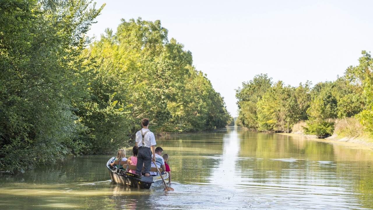 Photo of Others in L'Aiguillon-sur-Vie