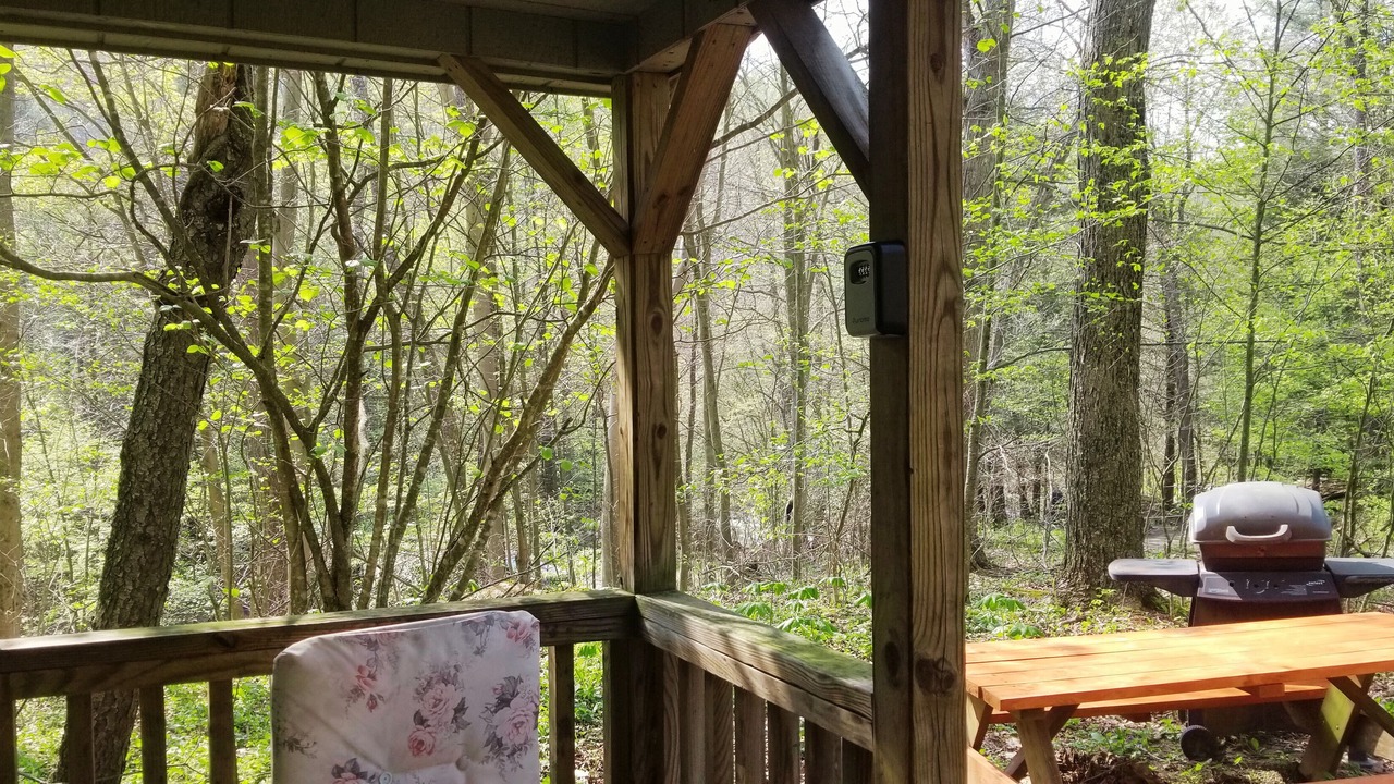 Photo of Outdoor in Elk Garden