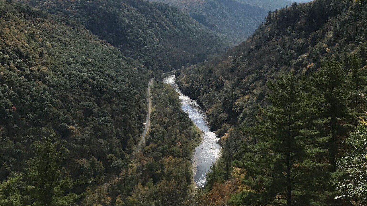 Photo of Others in Gaines