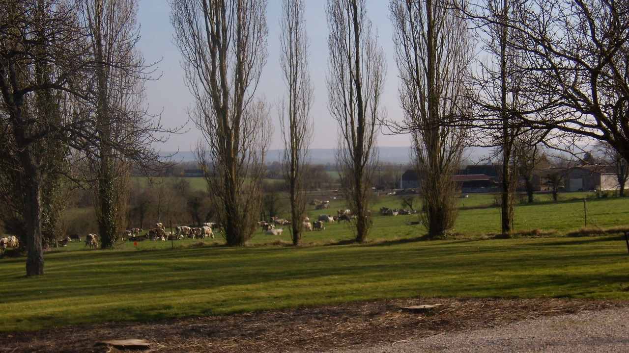 Photo of Others in Montreuil-la-Cambe