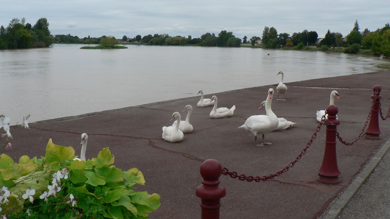 Photo of Others in Vignonet