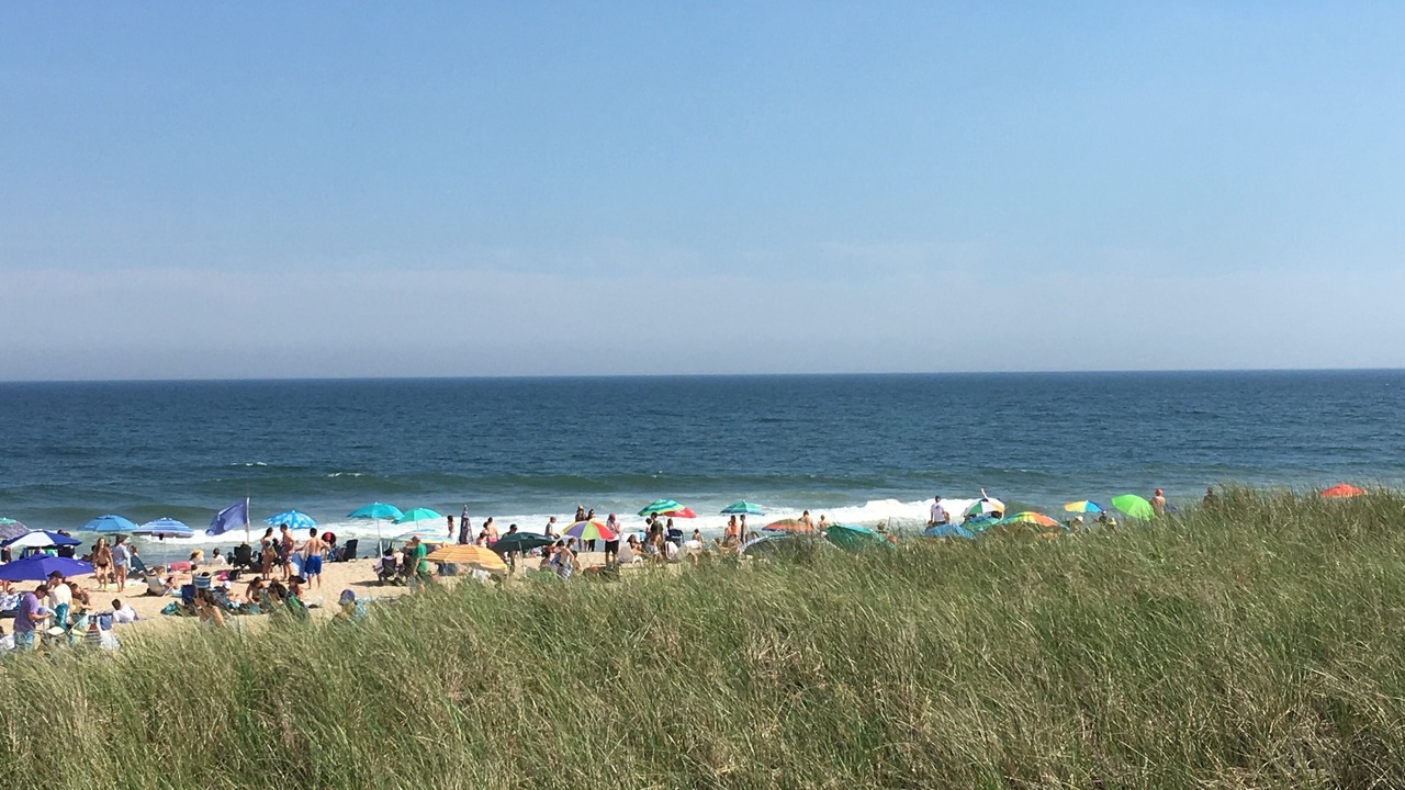 Photo of Others in Lion Head Beach