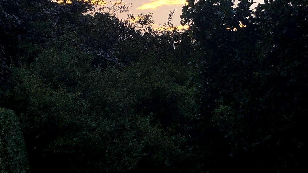 Photo of Outdoor in Siasconset