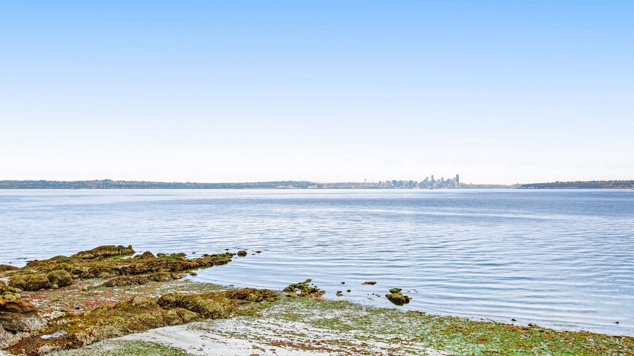 Photo of Others in Bainbridge Island