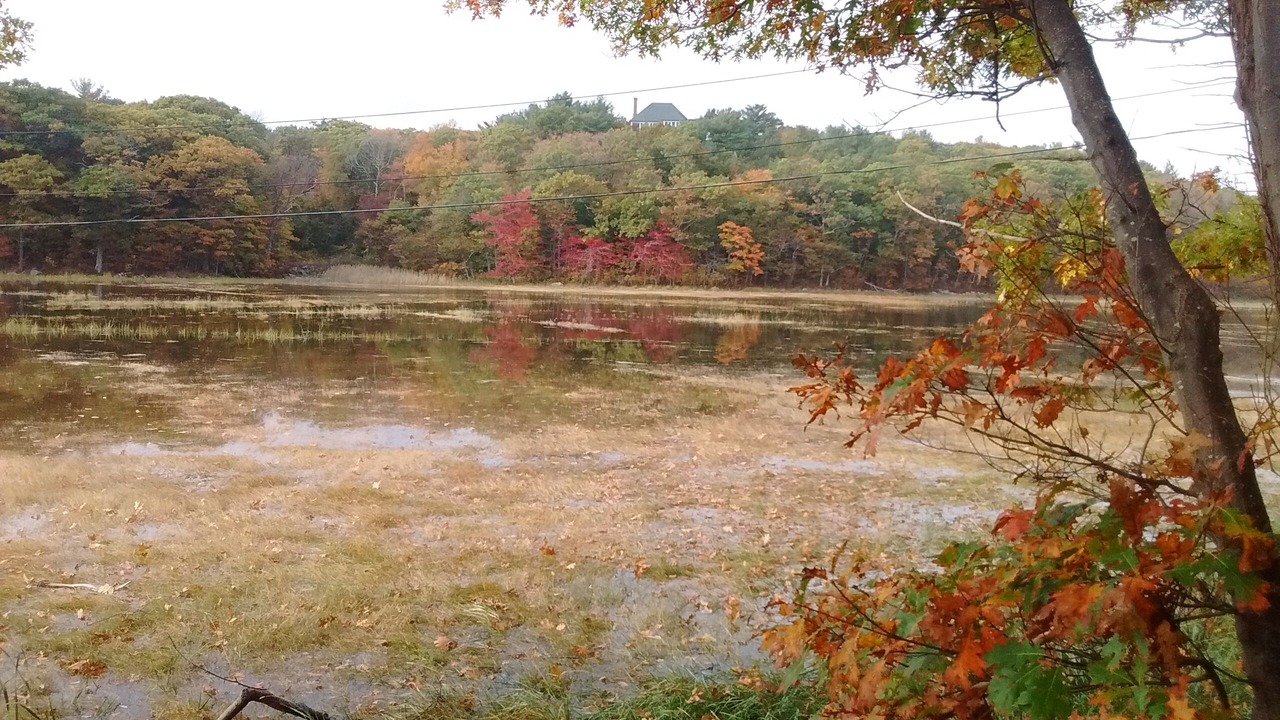 Photo of Outdoor in Gloucester
