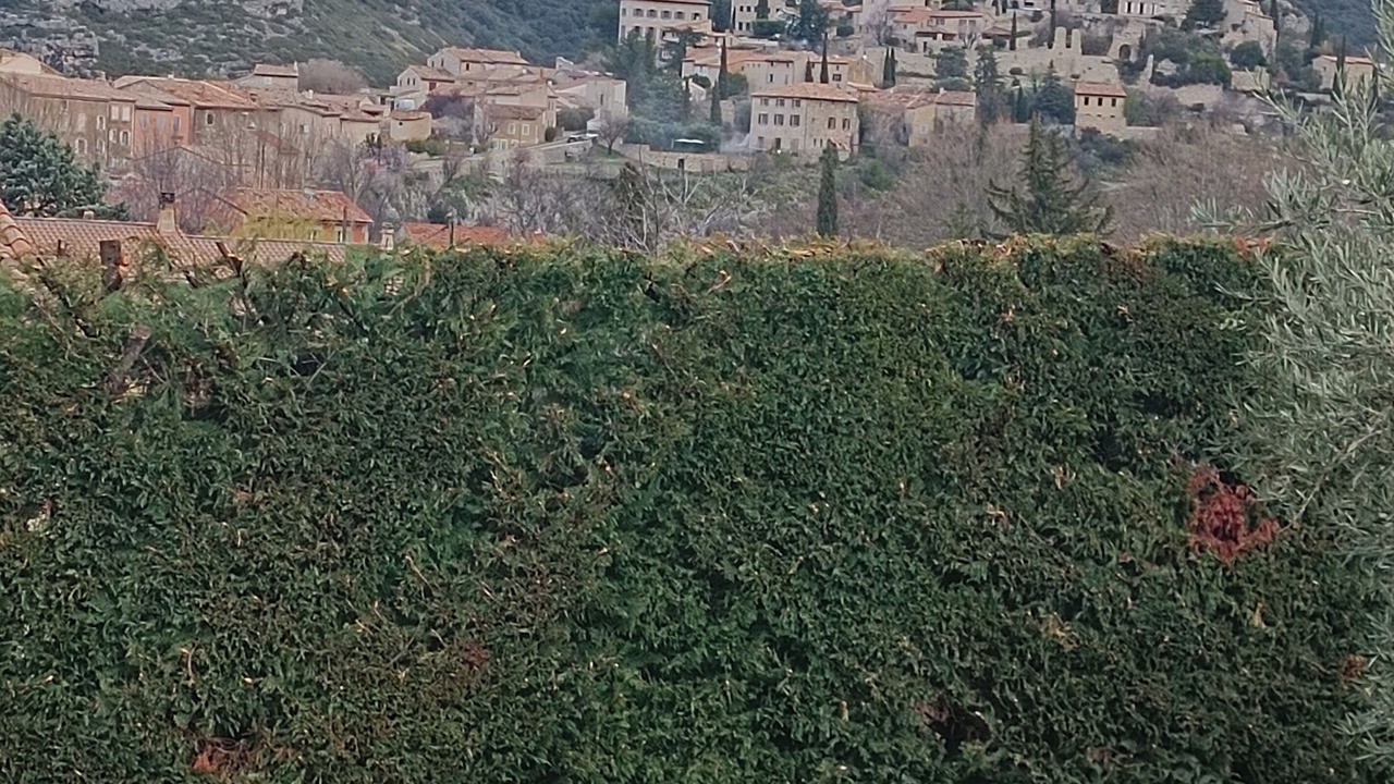 Photo of Others in Methamis