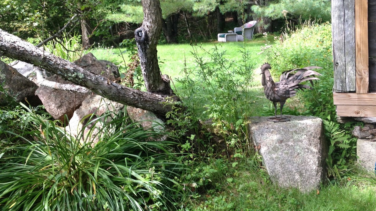 Photo of Outdoor in Sullivan